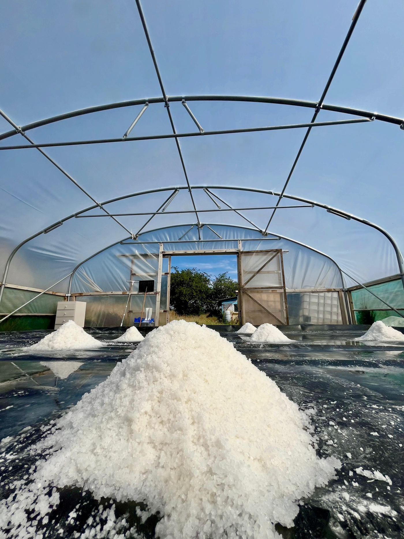 A large mound of white Suffolk Sea Salt flakes inside a translucent polytunnel, with more salt piles and metal framing visible under a blue sky.
